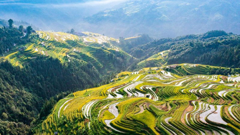 “红色美丽楼栋”焕新老旧小区-马