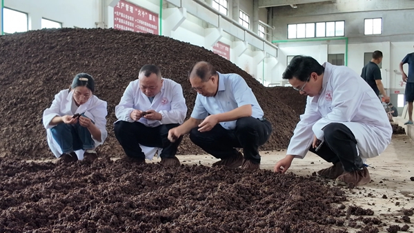 贵州仁怀:“科学”酿酒 助力白酒产业高质量发展_fororder_酱科所工作人员到酒企查看制酒(余甚君 拍摄)