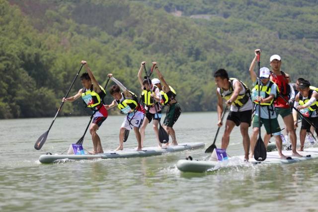桨板活动深受年轻人喜爱。