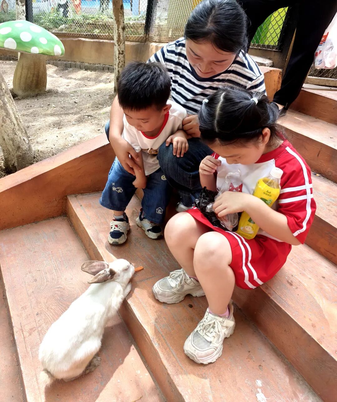 微信图片_20260727150332_副本.jpg
