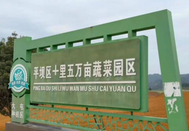 （平坝十里五万亩高标准蔬菜基地 来源：平坝发布）