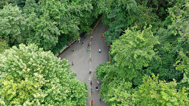 鳥瞰“城市綠肺”——貴陽黔靈山公園