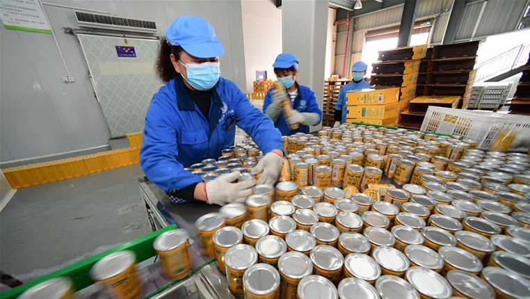 贵州龙里：刺梨加工企业全面复产