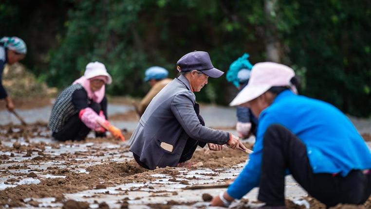 贵州农村产业革命助推脱贫攻坚见闻