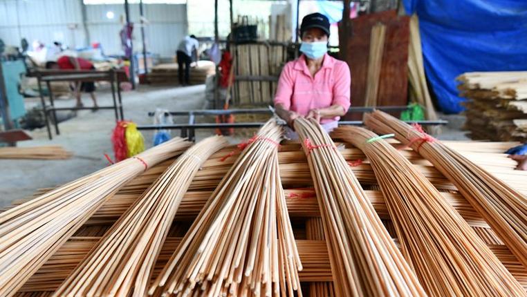 贵州天柱：“竹”产业促就业