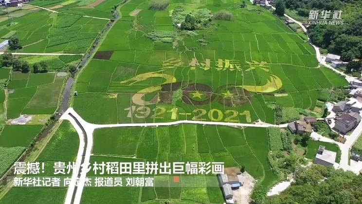 震撼！贵州乡村稻田里拼出巨幅彩画