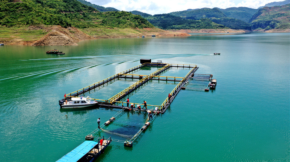 光照湖（牂牁江）“高颜值”生态渔场
