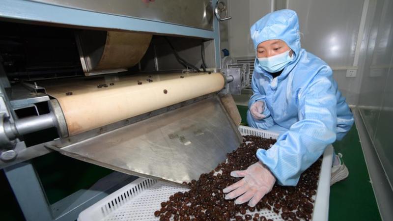 贵州绥阳：特色农产品产业助农增收