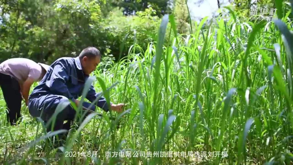 微视频丨驻村第一书记刘开福的乡村振兴计划