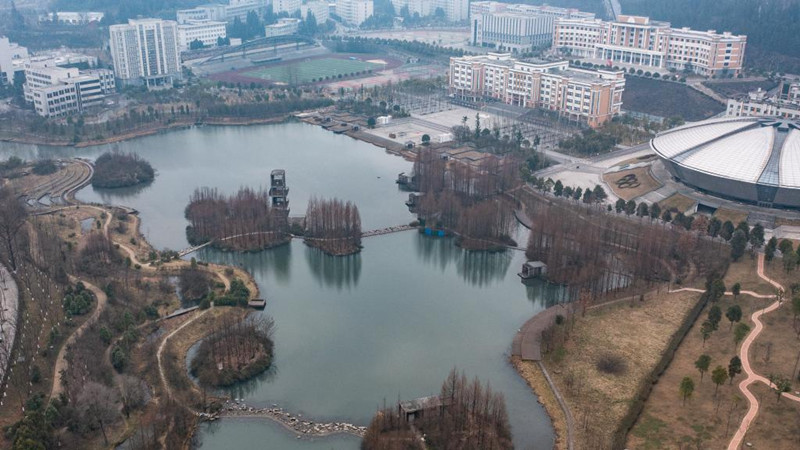 湿地日里看湿地