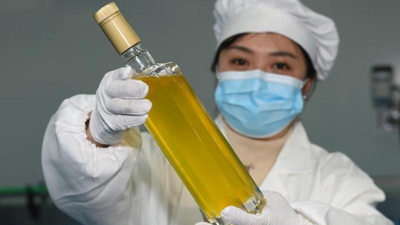 贵州玉屏：油茶全产业链助力乡村振兴