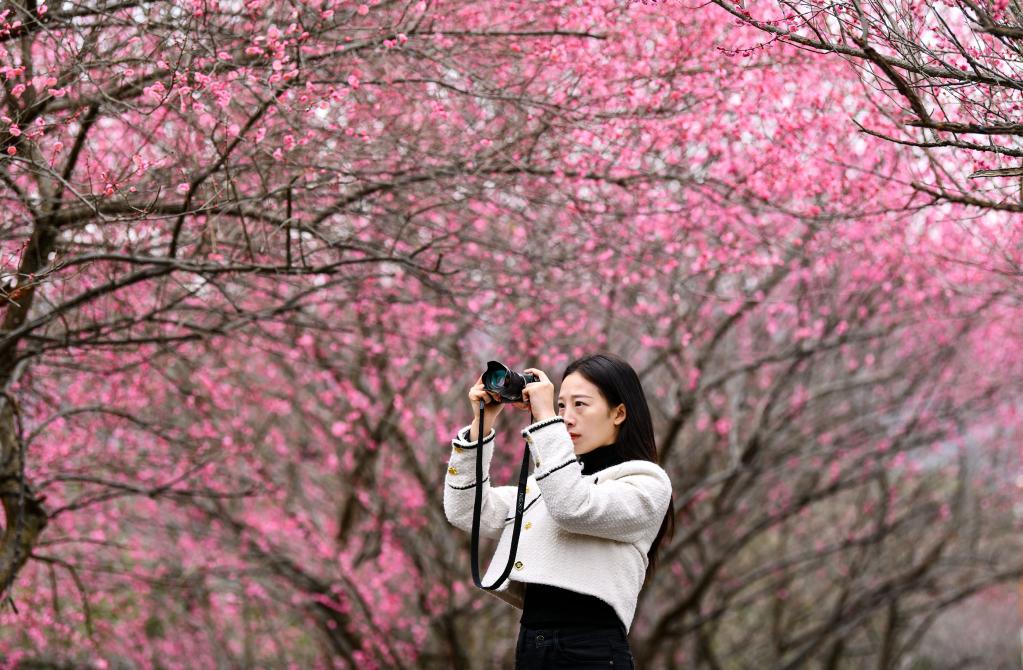 神州大地春来早