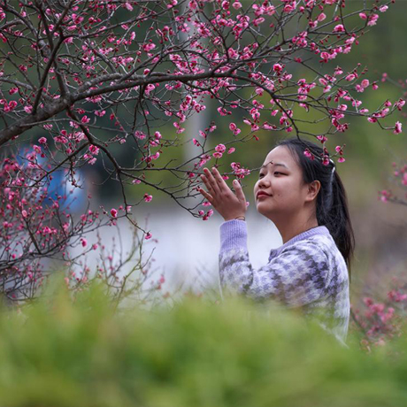 诗意中国——春色满园关不住