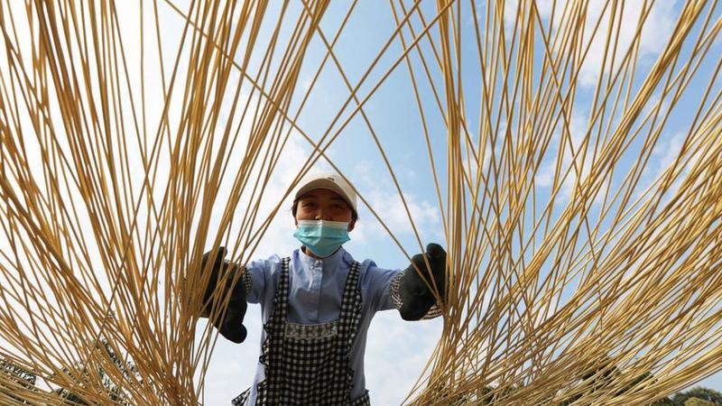 贵州赤水：竹产业助力乡村振兴