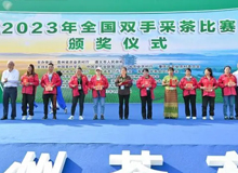 2023年全国双手采茶比赛在湄潭举办