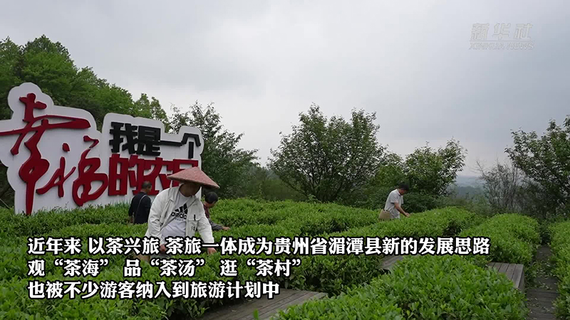 貴州湄潭：“綠葉子”變“金葉子” 茶産業發展賦能鄉村振興