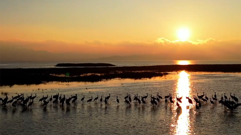 贵州省人力资源和社会保障厅